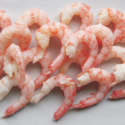 Cooked & Peeled Shrimp
