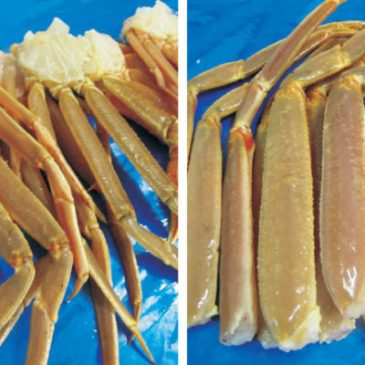 Snowcrab Raw Sections